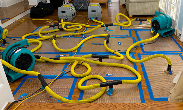Professional Water Damage Repair technician working in La Verne, CA
